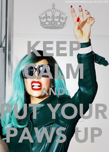  Keep Calm and put your paws up