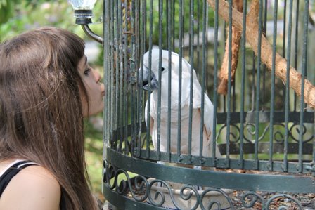  Paris beijar the bird at Houmas House