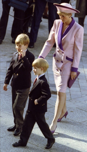 Princess Diana and the Princes