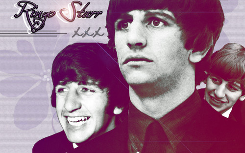  Ringo♥