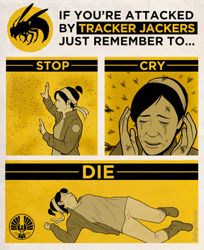  The Hunger Games Propaganda Posters