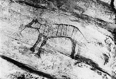  Mainland Thylacine Rock Painting