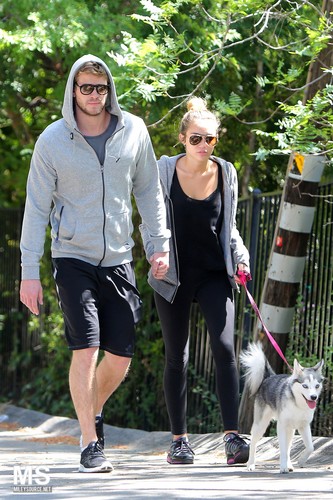  03/04 Taking A Walk With Liam And Floyd In Toluca Lake
