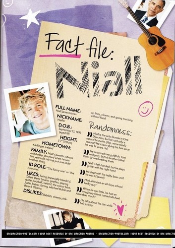  1D fact files!