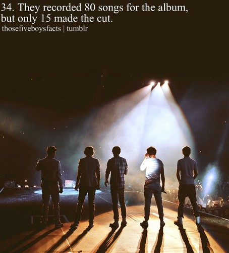  1D's Facts♥♥