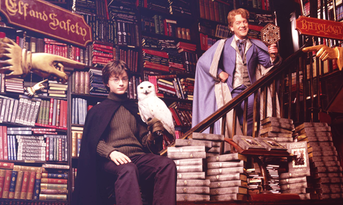  Gilderoy Lockhart and Harry Potter
