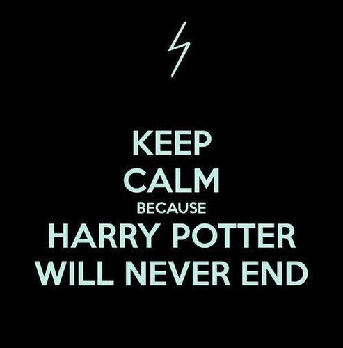  Harry Potter Will Never End.