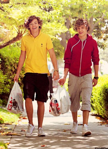  Harry and Liam <3