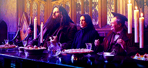  Hogwarts Professors
