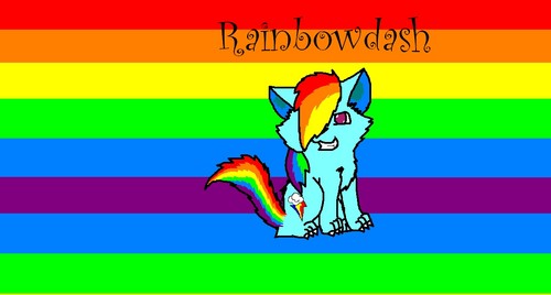  rainbowdash the cat