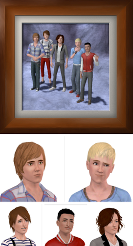  1D Sims Edition