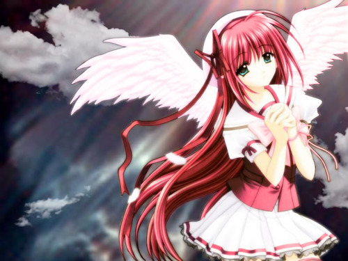  Anime Angel – Jäger der Finsternis