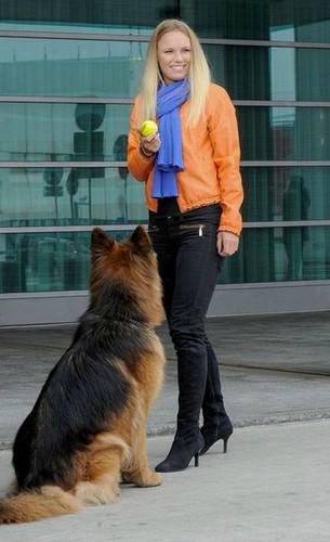 Caroline Wozniacki play with dog