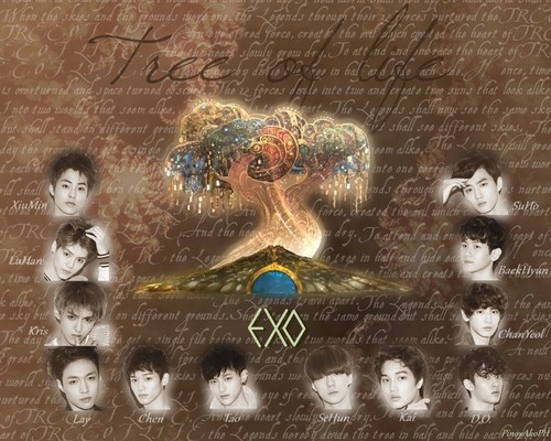  Exo 壁纸 树 OF LIFE
