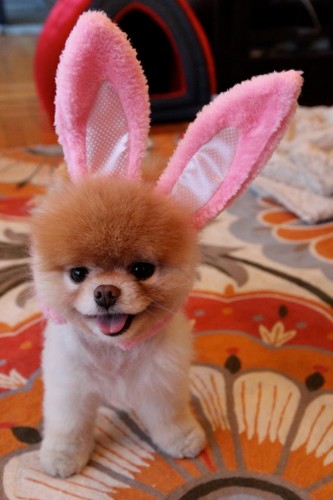  Happy Easter!