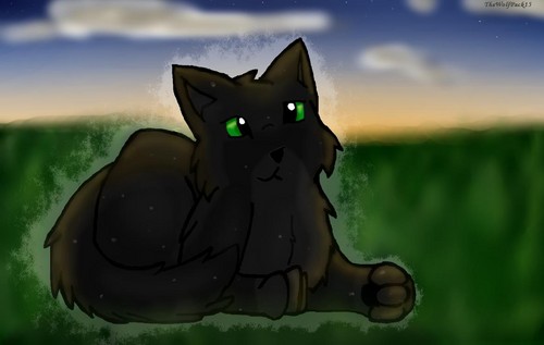  Hollyleaf's Shadow of the 日
