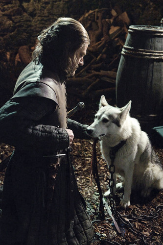  Lady and Eddard Stark