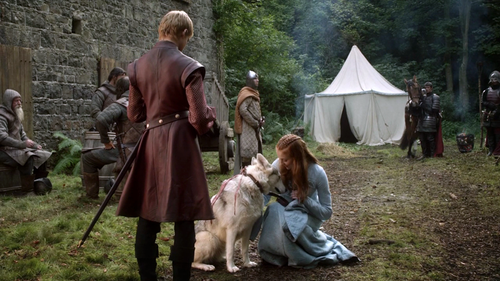  Lady and Sansa with Joffrey