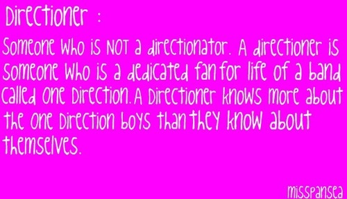  Meaning of Directioner!
