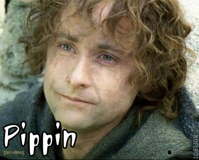  PIPPIN!!!