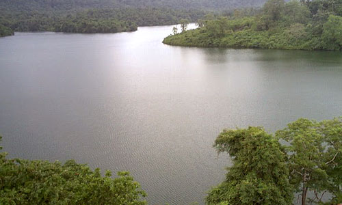  Peechi Dam