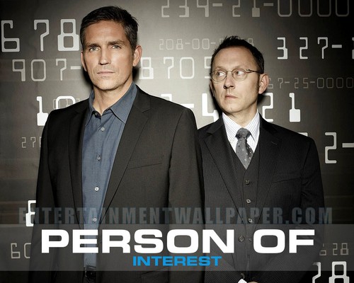  Person of Interest