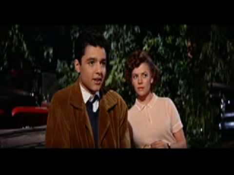  Plato and Judy - Rebel Without A Cause