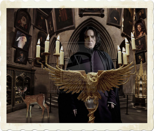  Severus Director