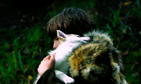  Summer - Bran direwolf