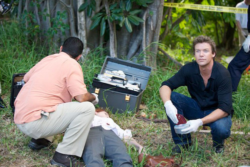  The Glades 1x03 (A Perfect Storm)
