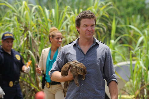  The Glades 1x04 (Mucked Up)