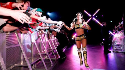  WWE Worldwide 2012-Ireland