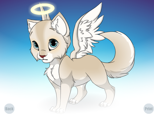  ángel the kitten