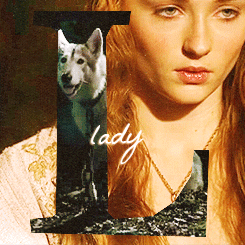  Sansa Stark & Lady