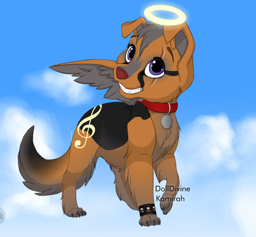  rusty the Angel chiot