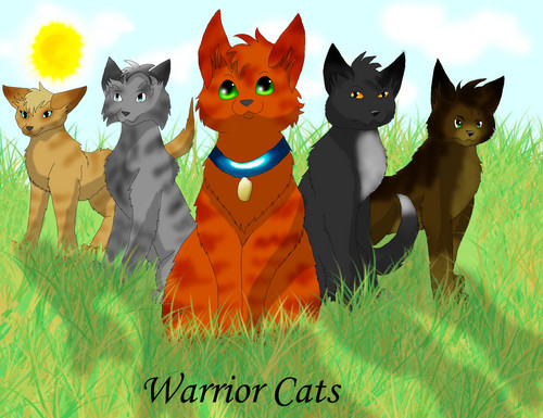 warrior cats into the forest