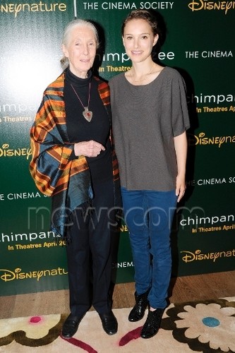 Attending a screening of "Chimpanzee" by hosts Disneynature & The Cinema Society, NYC (April 14th 20