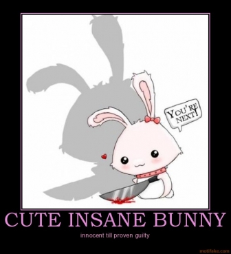  Cute Insane Bunny