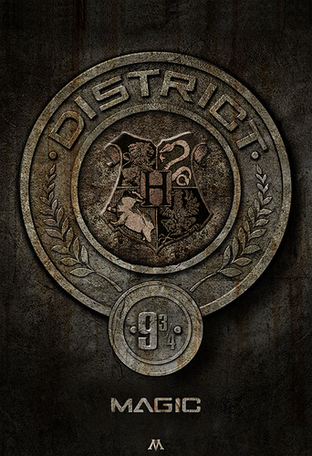 District 9 3/4: Magic!