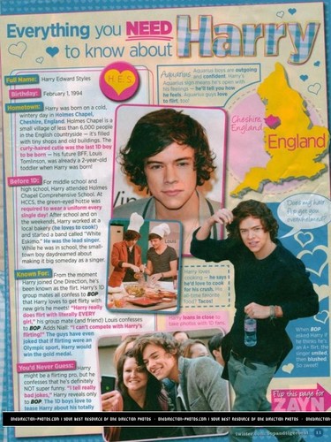  Everything bạn Need To Know About Harry :) x