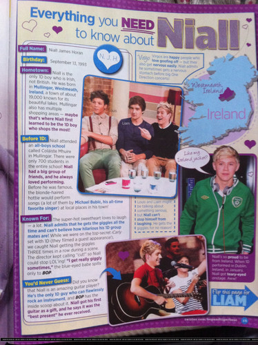  Everything te Need To Know About Niall :) x