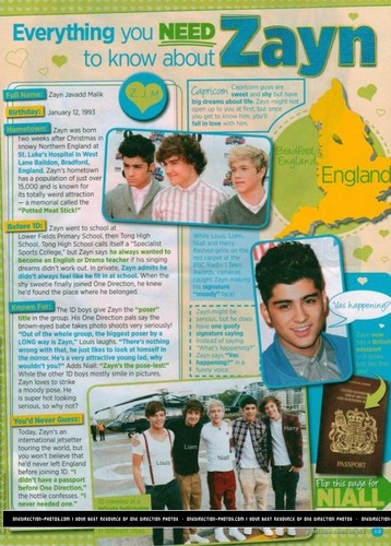  Everything wewe Need To Know About Zayn :) x
