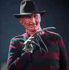  Freddy!