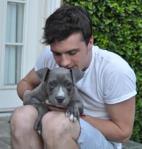  Josh with his adopted dog