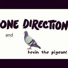  Kevin
