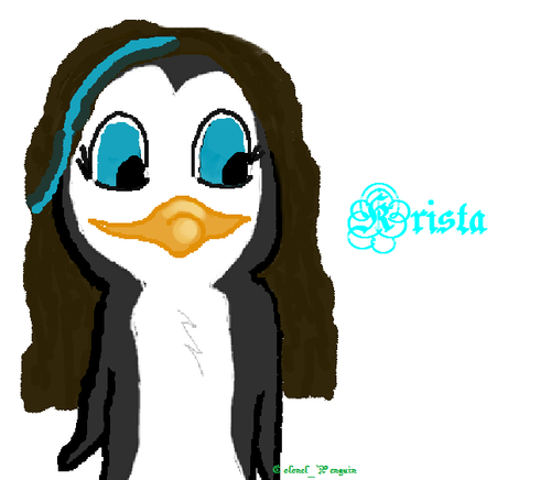  Krista the manchot, pingouin