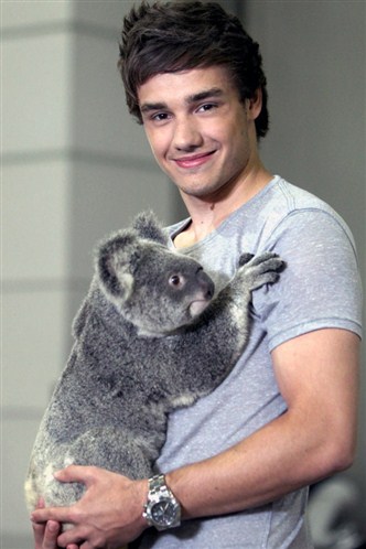 Liam witha koala bear:)