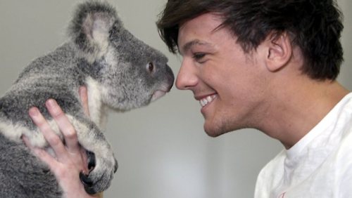  Louis and a koala
