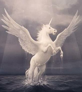  Pegasus!