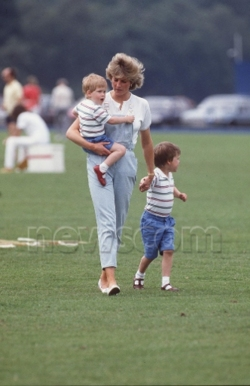  Princess Diana and the Princes